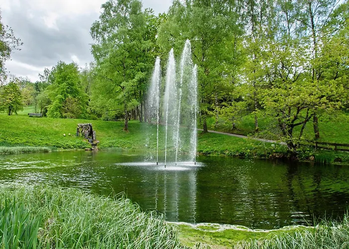 Superior App 238 Mit Pool Und Sauna