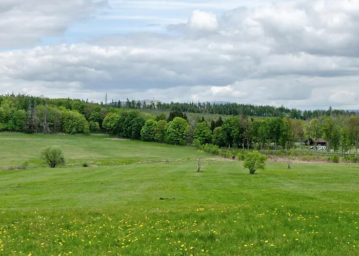 Superior App 238 Mit Pool Und Sauna