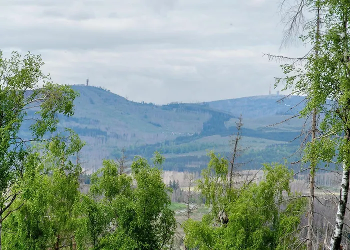 Superior App 238 Mit Pool Und Sauna *